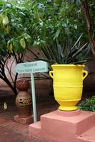 Jardin Majorelle &ndash; &copy; Astrid Kunath (Eberhardt TRAVEL)