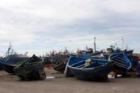 Essaouira &ndash; &copy; Astrid Kunath (Eberhardt TRAVEL)
