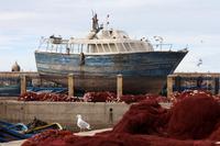 Essaouira &ndash; &copy; Astrid Kunath (Eberhardt TRAVEL)