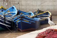 Essaouira &ndash; &copy; Astrid Kunath (Eberhardt TRAVEL)