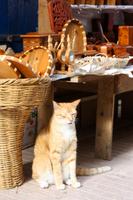 Essaouira &ndash; &copy; Astrid Kunath (Eberhardt TRAVEL)