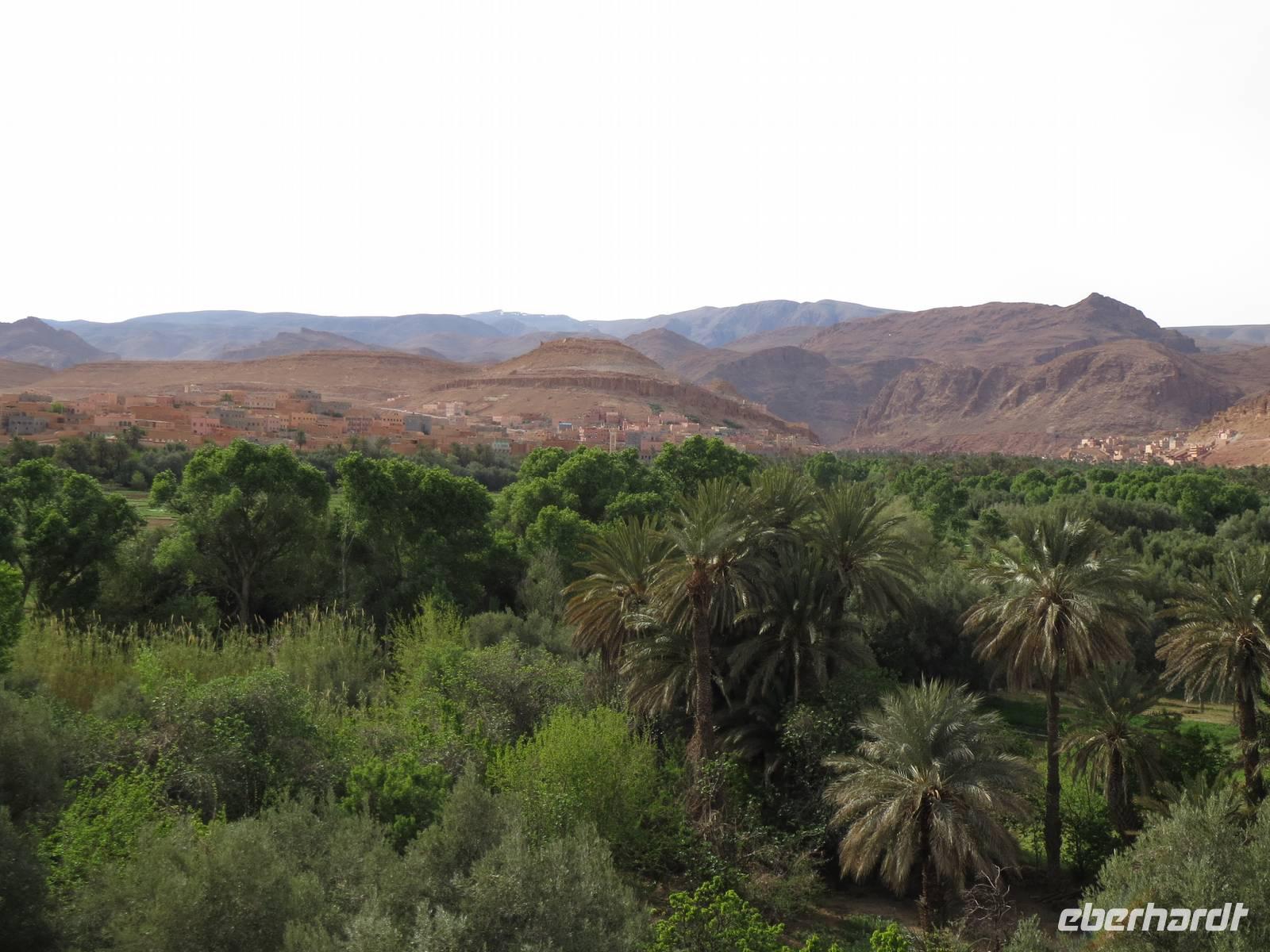 162_Palmerie &ndash; &copy; Rica Schubert (Eberhardt TRAVEL)