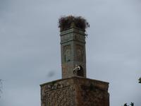 024_Ruinenensemble der Cellah