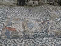 051_Volubilis &ndash; &copy; Rica Schubert (Eberhardt TRAVEL)