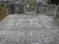 052_Volubilis &ndash; &copy; Rica Schubert (Eberhardt TRAVEL)