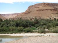 099_Oase Ziz &ndash; &copy; Rica Schubert (Eberhardt TRAVEL)