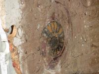 141_Fossilienwerkstatt &ndash; &copy; Rica Schubert (Eberhardt TRAVEL)
