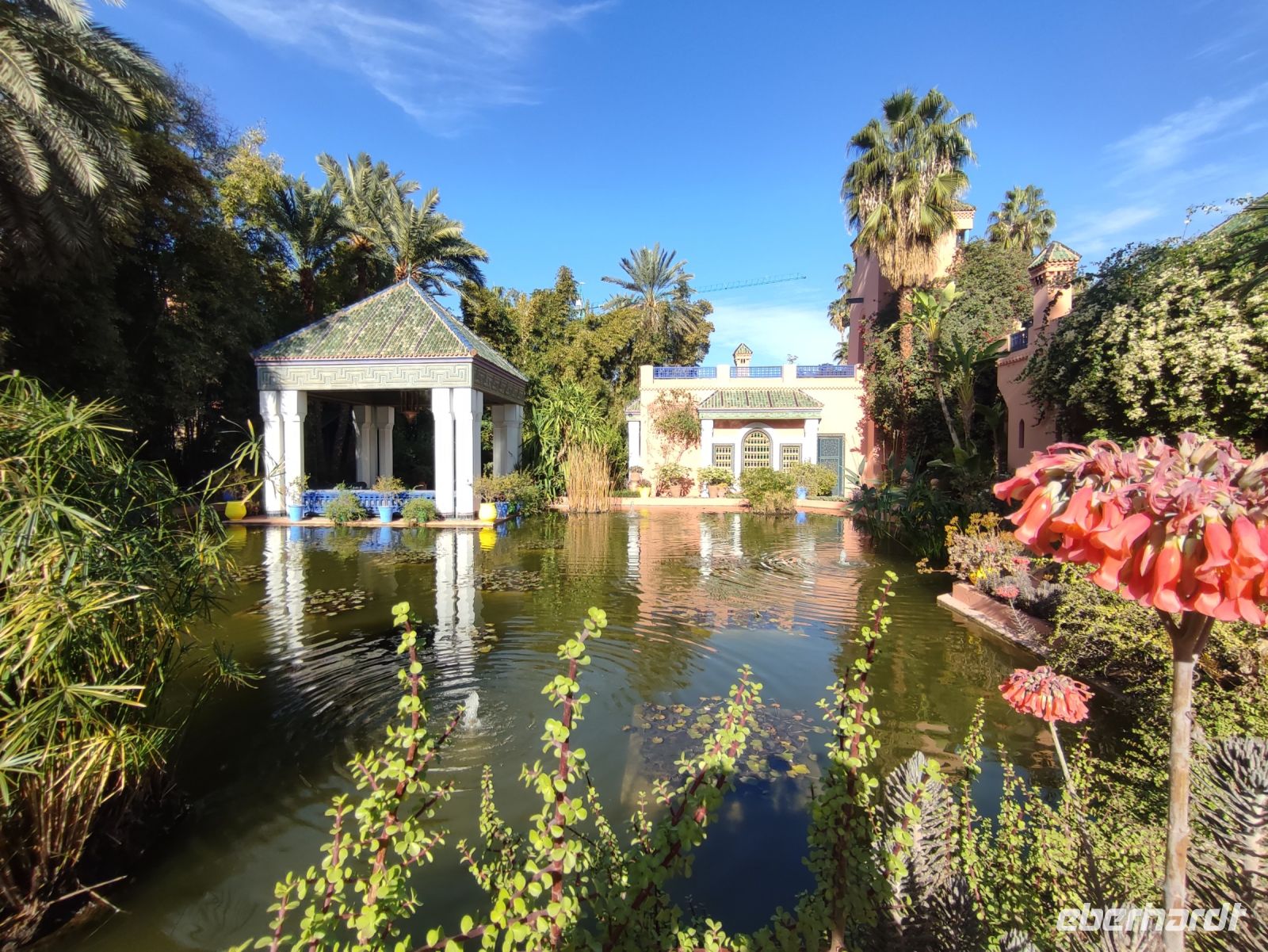 Majorelle Garten 2 &ndash; &copy; Isabell Wohlrab (Eberhardt TRAVEL)
