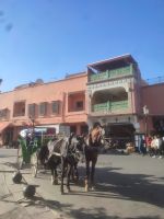Marrakesch Verkehr &ndash; &copy; Isabell Wohlrab (Eberhardt TRAVEL)