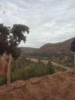 Ourikatal (2)