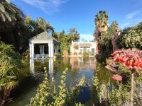 Majorelle Garten 2 &ndash; &copy; Isabell Wohlrab (Eberhardt TRAVEL)