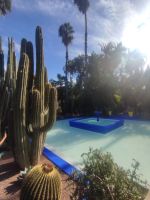 Majorelle Garten (2) &ndash; &copy; Isabell Wohlrab (Eberhardt TRAVEL)