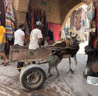 &copy; Sabine Reckord (Eberhardt TRAVEL)