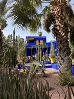Jardin Majorelle &ndash; &copy; Sabine Reckord (Eberhardt TRAVEL)