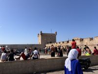 Hafen von Essaouria  &ndash; &copy; Sabine Reckord (Eberhardt TRAVEL)