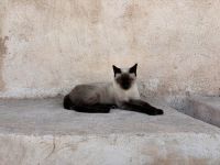&copy; Sabine Reckord (Eberhardt TRAVEL)