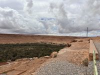 Oase Tazenakht, Ziz Tal NR17 &ndash; &copy; Sabine Reckord (Eberhardt TRAVEL)