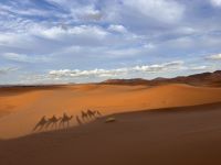 Erg Cheddi &ndash; &copy; Sabine Reckord (Eberhardt TRAVEL)