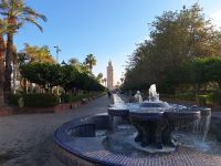 Koutoubia-Moschee, 20241230_094519.jpg &ndash; &copy; Claudia Hartwich (Eberhardt TRAVEL)