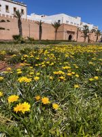 Essaouira.jpeg &ndash; &copy; Kora Buggel (Eberhardt TRAVEL)
