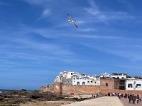 Blick zur Altstadt - Essaouira.jpeg &ndash; &copy; Kora Buggel (Eberhardt TRAVEL)