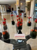 Hotel Lobby.jpeg &ndash; &copy; Kora Buggel (Eberhardt TRAVEL)