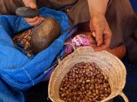 aufklopfen der Frucht.jpeg &ndash; &copy; Kora Buggel (Eberhardt TRAVEL)