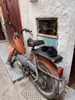10.4.Moped mit Katze.jpeg &ndash; &copy; Kora Buggel (Eberhardt TRAVEL)