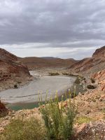 11.4. Ziz .jpeg &ndash; &copy; Kora Buggel (Eberhardt TRAVEL)
