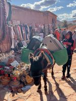 12.4. Ait Benhaddou-Koffertransport.jpeg &ndash; &copy; Kora Buggel (Eberhardt TRAVEL)