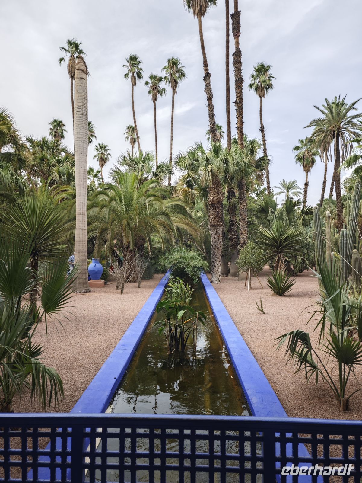 Jardin Majorelle Marrakesch &ndash; &copy; Philip Seidel (Eberhardt TRAVEL)