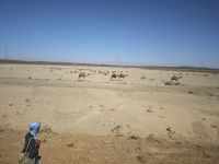 Weiterfahrt Richtung Tinghir &ndash; &copy; Philip Seidel (Eberhardt TRAVEL)