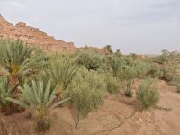 Aït Ben Haddou &ndash; &copy; Philip Seidel (Eberhardt TRAVEL)