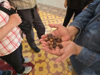 Argan Nüsse &ndash; &copy; Katrin Jähne (Eberhardt TRAVEL)