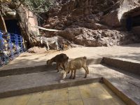 Ourika Tal &ndash; &copy; Katrin Jähne (Eberhardt TRAVEL)