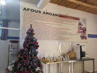 13) Argan-Initiative auf dem Weg nach Essaouira, Marokko &ndash; &copy; Teresa Rumpel (Eberhardt TRAVEL)