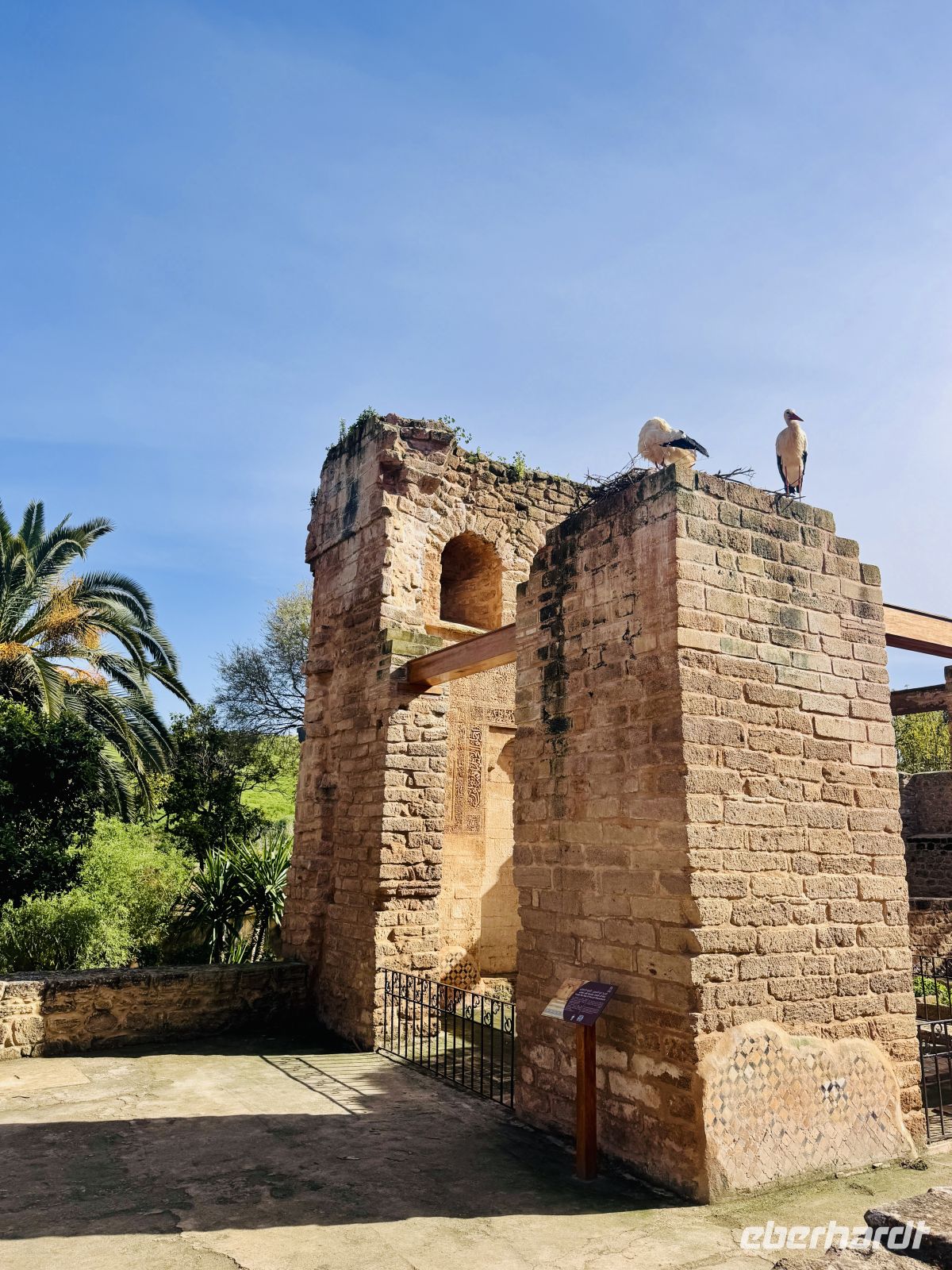 5. Tag - Besichtigung des Ruinenensemble der Chellah &ndash; &copy; Christin Kuschka (Eberhardt TRAVEL)