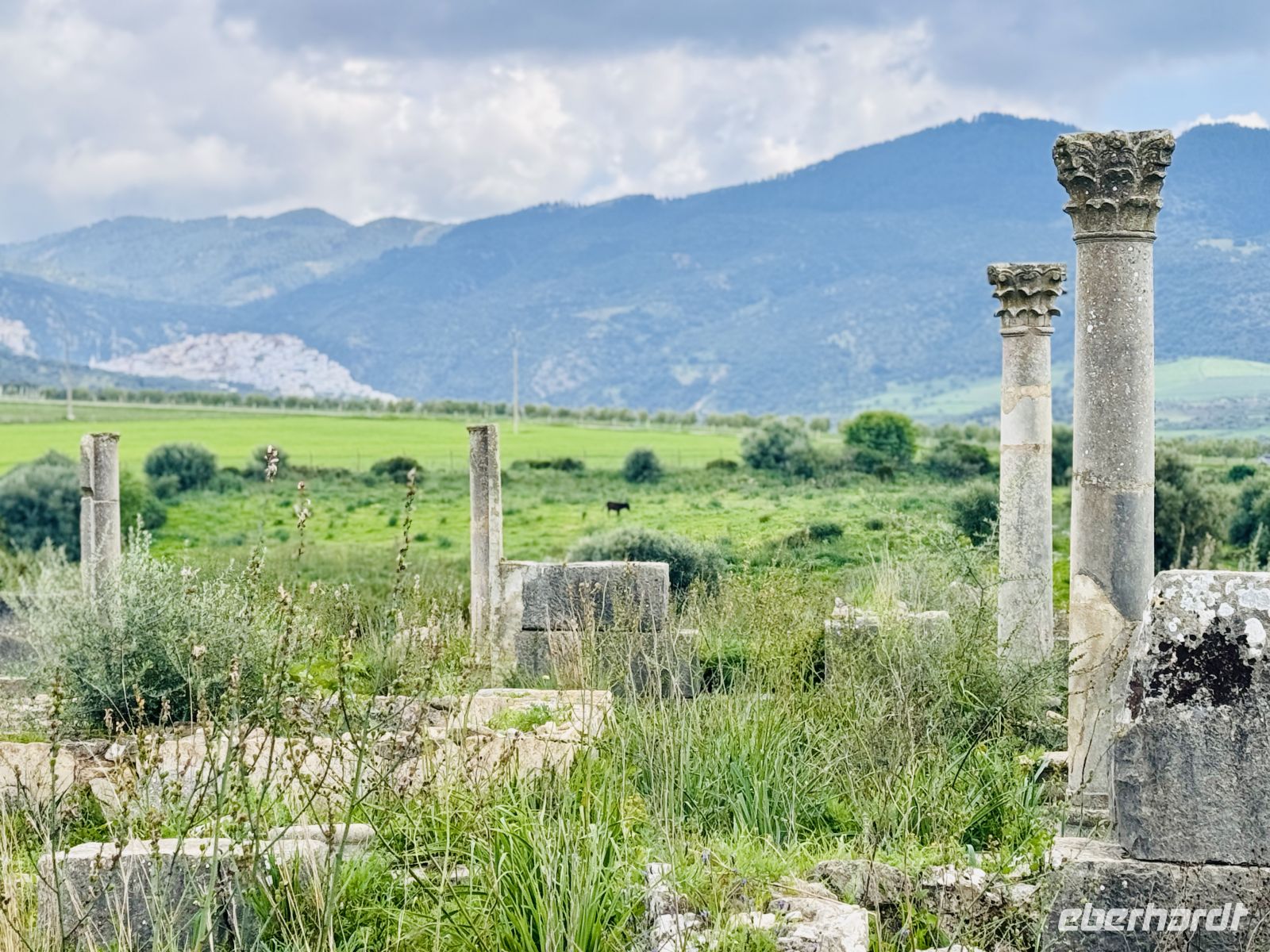 6. Tag - Die ehemalige römische Stadt Volubilis  &ndash; &copy; Christin Kuschka (Eberhardt TRAVEL)