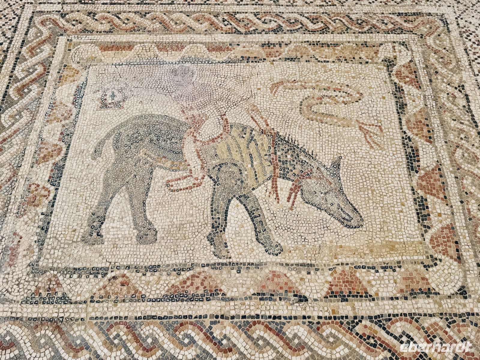 6. Tag - Die ehemalige römische Stadt Volubilis  &ndash; &copy; Christin Kuschka (Eberhardt TRAVEL)