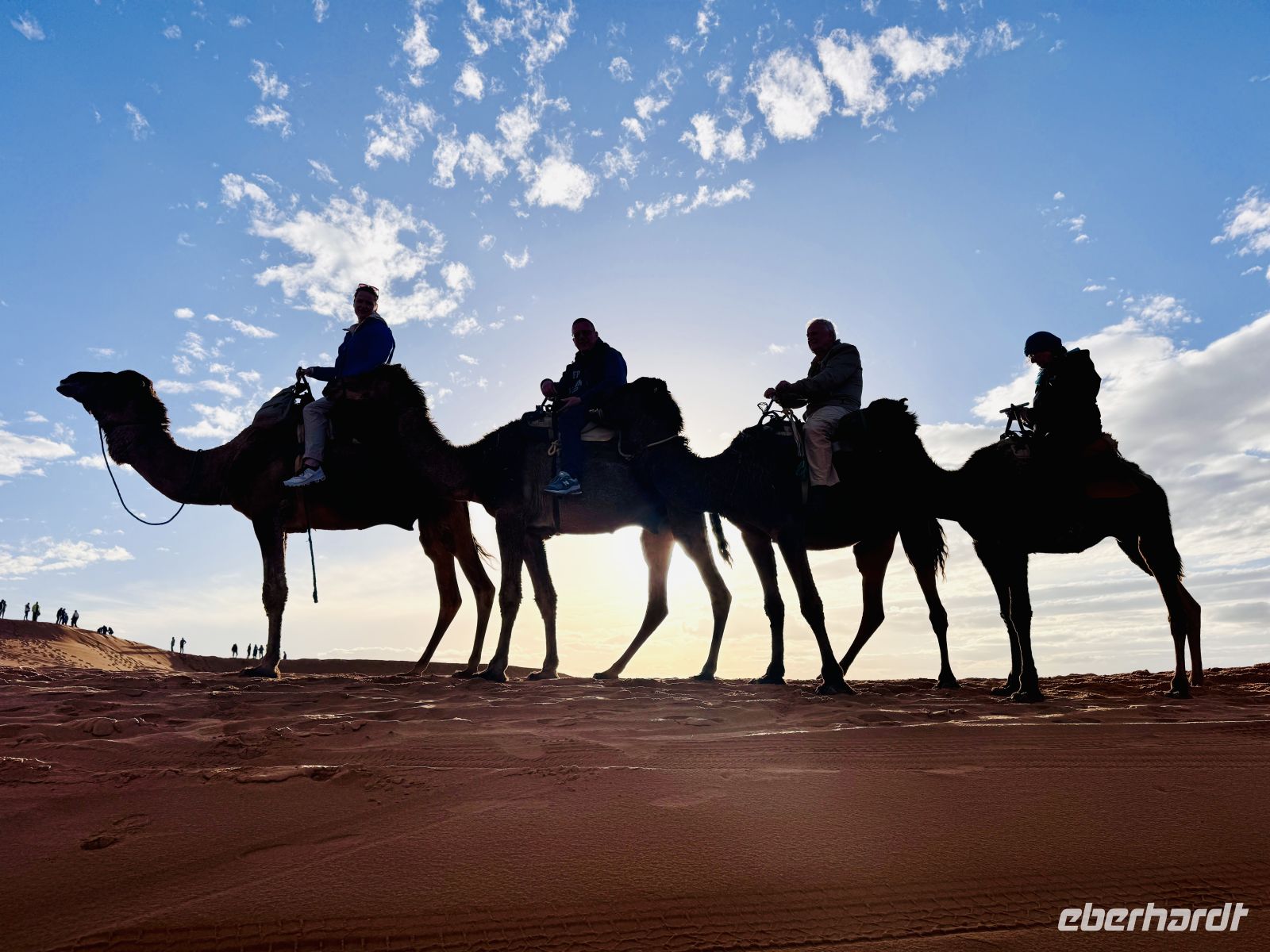 8. Tag - Auf dem Rücken eines Dromedar gehts es die Düne hinauf  &ndash; &copy; Christin Kuschka (Eberhardt TRAVEL)