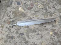 auch Ameisen sind stark &ndash; &copy; Janine Wolf (Eberhardt TRAVEL)