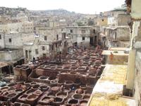 Gerberei in Fes &ndash; &copy; Janine Wolf (Eberhardt TRAVEL)