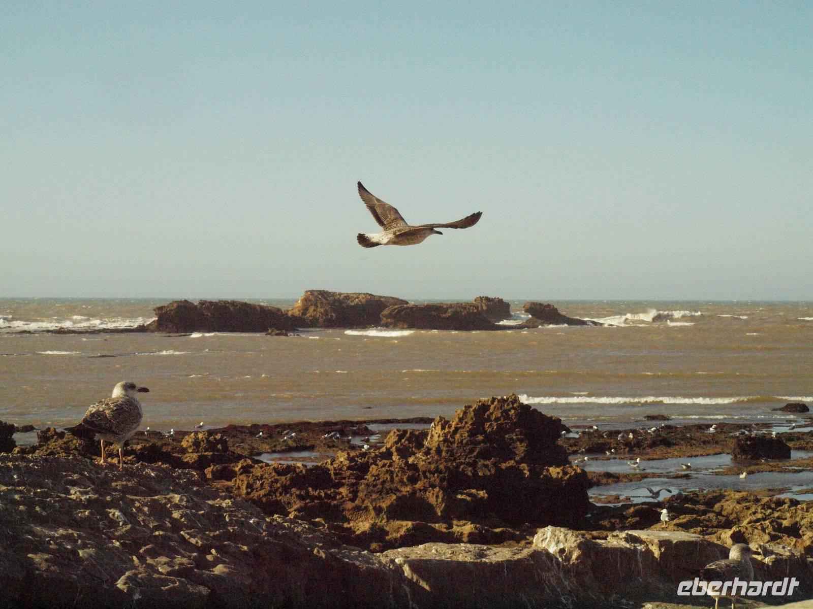 Essaouira &ndash; &copy; Juliane Voigt (Eberhardt TRAVEL)