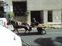 Hauptstadt Rabat &ndash; &copy; Juliane Voigt (Eberhardt TRAVEL)