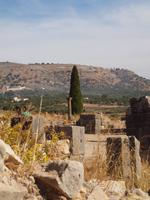 Volubilis &ndash; &copy; Juliane Voigt (Eberhardt TRAVEL)