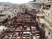 Gerberei in Fès