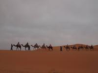 unser Dromedarritt &ndash; &copy; Juliane Voigt (Eberhardt TRAVEL)