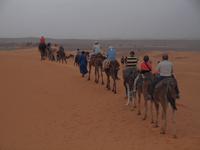 unser Dromedarritt &ndash; &copy; Juliane Voigt (Eberhardt TRAVEL)