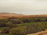 Oase &ndash; &copy; Juliane Voigt (Eberhardt TRAVEL)