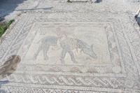 Römerstadt Voloubilis